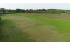 Van Buren County, Michigan farmland - LAND AUCTION - 194+/- ACRES OFFERED IN 5 TRACTS IN VAN BUREN COUNTY, MICHIGAN